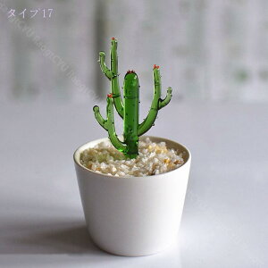 1000~OFFN[| T{e IuWF u KX 킢 A ϗtA 킢 KXA[g A u Jt Y Ƃ̑ Be  Ƃ̑ i 蕨 CeA v