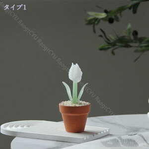 300~OFFN[| NX^ u NX^t[ KXt[ ͂Ȃ ԑu IV ͋C CeA  Ƃ̑i a ̓ zCf[ o^Cf[ M