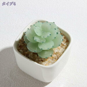 500~OFFN[| NX^ u NX^t[ KXt[ ͂Ȃ ԑu IV ͋C CeA  Ƃ̑i a ̓ zCf[ o^Cf[ M