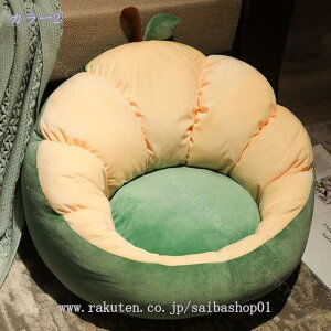 1000~OFFN[| zc  pbh NbV ֎qNbV ɗD wt  ItBX  ֎q  \t@ H  {ANbV NbVtA ItBX//