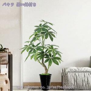 1000~OFFN[| tFCNO[ AJV ϗtA tFCNO[ ^ V lH[J̖ tFCN[JA lHVNA   O ItBX Mtg I[i