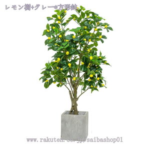 人工観葉植物 フェイクグリーン 人工グリーン 人工植物 人工観葉植物 簡単世話いらず 水やり不要 フェイクグリーン 幸運の木 人工葉球 室内 玄関 リビング オフィス 爽やか シンプル かわい