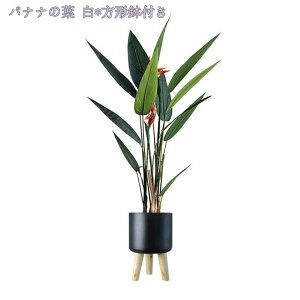 2000~OFFN[| l̖ lHϗtA CeA X^CbV A ͂Ȃ gsJA lHϗt |  Rȕ͋C sv A gsJA M