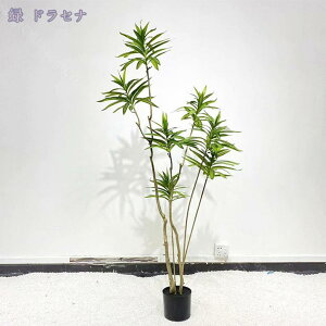 1000~OFFN[| tFCNO[ lHϗtA CeA  ϗtA Vv ItBX rO ɒuA    t p ̊ϗtA Ȓ 