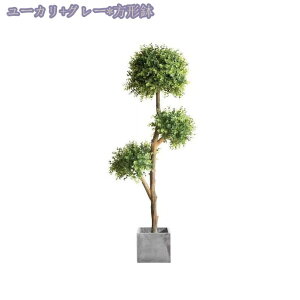 2000~OFFN[| tFCNO[ lHϗtA Iȑ ^ϗt CeA  ƒ 悯oRj[ _ ~͐A ̂Ȃ Vzj ̓ ̓ 蕨 z