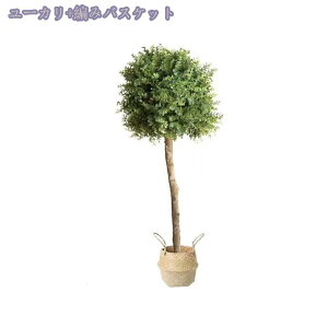 2000~OFFN[| tFCNO[ lHϗtA Iȑ ^ϗt CeA  ƒ 悯oRj[ _ ~͐A ̂Ȃ Vzj ̓ ̓ 蕨 z