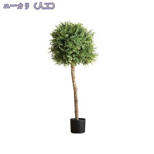 2000~OFFN[| tFCNO[ lHϗtA Iȑ ^ϗt CeA  ƒ 悯oRj[ _ ~͐A ̂Ȃ Vzj ̓ ̓ 蕨 z