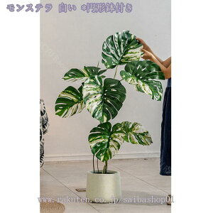 2000~OFFN[| tFCNO[ ^ 傫 A lHϗtA A  ze CeA X X GgX c Ή E P b炸 j JƏj V