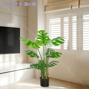 2000~OFFN[| lHϗtA ^ 傫 lHϗt A CeA   tFCNO[ ϗtA i p ItBX ȒP sv Q̐SzȂ 