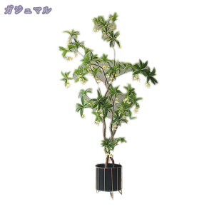 tFCNO[ lHϗtA 傫  킢 v[g 蕨 FN₩ lHϗtA tFCNO[ ^ AȎ}Ɨt Ȓ CeA ItBX  c