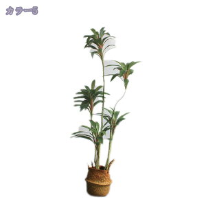 2000~OFFN[| ^ lHieA lHϗtA tFCNO[ ^tFCNA ItBX JtF f[ ze AȎ}Ɨt Ȓ p lHA ȑ