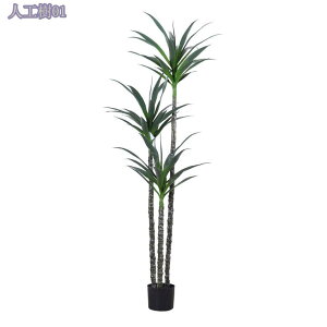 tFCNO[ ^ ϗA lHϗt lHϗtA tFCN  Vv ItBX  CeA   AȎ}Ɨt Ȓ j ̓ lHϗtA  tF