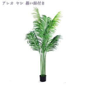 tFCNO[ lHϗtA ^ lHAJ V̗t Ηt gsJ V̖ lHA tFCNXe̗t t[AWg nCA WO r[` EFfB