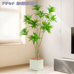 2000~OFFN[| tFCNO[ lHϗtACeA ͂Ȃ lHϗt A lH tFCNO[ JXj CeA Vzj A[gO[ 蕨 ޖLx 