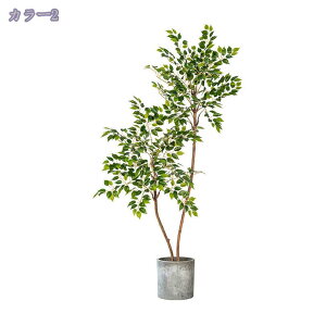 2000~OFFN[| tFCNO[ lHϗtA  NVbN | CeA킢 lHϗtA AeB[N [sA tFCNO[ CeA AȎ}Ɨt R