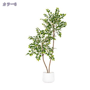 tFCNO[ lHϗtA  NVbN | CeA킢 lHϗtA AeB[N [sA tFCNO[ CeA AȎ}Ɨt Ȓ sv