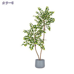 2000~OFFN[| ͂Ȃ ^~͐A Vzj ̓ ̓ Mtg 蕨 tFCNO[ ^ A lHϗtA  ze CeA X GgX c E 