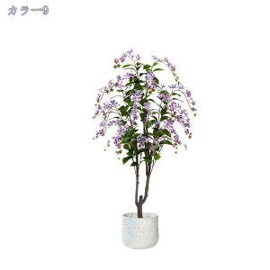 lHϗtA tFCNO[ ^ VNt[ AȎ}Ɨt Ȓ CeA O ItBX  c X tFCNA sv ͂Ȃ ^~͐A Vzj 