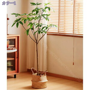 2000~OFFN[| ^tFCNA tFCNO[ lHA AȎ}Ɨt Ȓ p lHA ȑ X܂̑ A SzȂ ItBX  c X