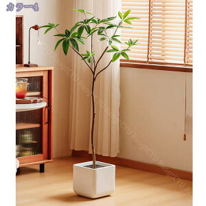 ^tFCNA tFCNO[ lHA AȎ}Ɨt Ȓ p lHA ȑ X܂̑ A SzȂ ItBX  c X gsJA