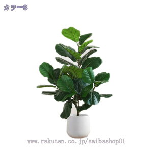 1000~OFFN[| ^tFCNA tFCNO[ lHA AȎ}Ɨt Ȓ p lHA ȑ X܂̑ A SzȂ ItBX  c X