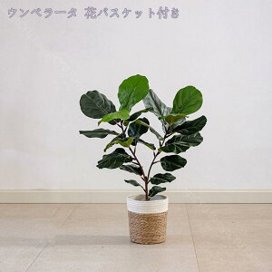 人工観葉植物 フェイクグリーン シンプル オフィス 室内 インテリア 大型 熱帯の木 造花 リアル フェイクグリーン ウンベラータ 人工観葉植物 観葉植物 室内装飾 自然な雰囲気 お手入れ不要