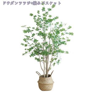 2000~OFFN[| ^tFCNA tFCNO[ A { Ȃ` | CeA ItBX O  rO X GgX ^ϗtA tFCNO[