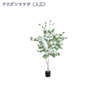 ^tFCNA tFCNO[ A { Ȃ` | CeA ItBX O  rO X GgX ^ϗtA tFCNO[ lHϗtA 