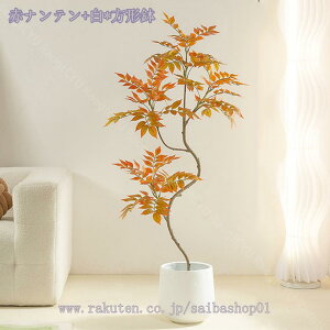 2000~OFFN[| tFCNO[ lHϗtA CeA  ϗtA Vv ItBX lHϗt rO ɒuA    t p ̊ϗtA R