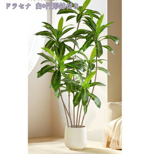 2000~OFFN[| lHϗtA ^ 傫 lHϗt A CeA  tFCNO[ ϗtA ϗt i  p ItBX ȒP sv Q̐S