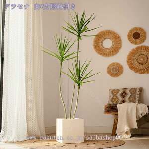 1000~OFFN[| tFCNO[ lHϗtA ϗt tFCN   ^ ȒP sv Q쏜sv  ƒ 悯oRj[  Iȑ z̃Mtg Ce