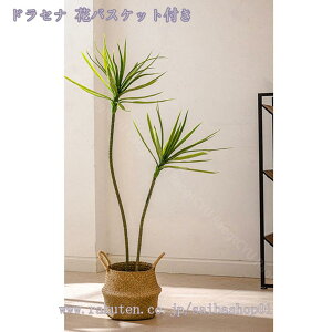 1000~OFFN[| tFCNO[ ^ lHϗtA  ItBX A ϗtA sv Q̐SzȂ p tFCNO[ ϗA lHϗt ϗtA tFCN^ lH