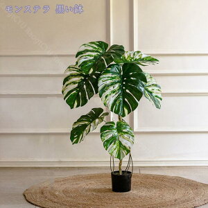 1000~OFFN[| lHϗtA { tFCNO[ ^ϗt A lH  CeA  O 傫 ][g ze j x gsJA s