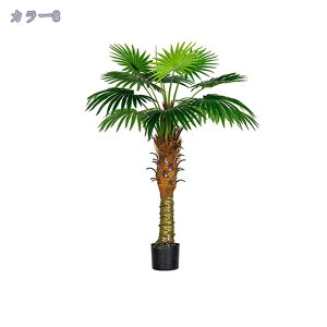 2000~OFFN[| lHϗtA tFCNO[ 傫 A Rȗt N₩ȐF  ze ItBX  O 悯oRj[ i` ȒP sv u₩ ډB 