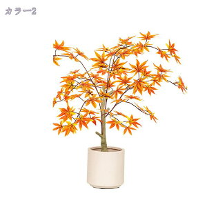 1000~OFFN[| lHϗtA ^ ډB tFCNO[ Iȑ V X GgX c ItBX  ƒ  O z̃Mtg ȒP sv ͂Ȃ {