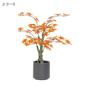 1000~OFFN[| lHϗtA ^ ډB tFCNO[ Iȑ V X GgX c ItBX  ƒ  O z̃Mtg ȒP sv ͂Ȃ {