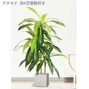 2000~OFFN[| lHϗtA tFCNA tFCNO[ ^  CeA lHϗtA ϗt A A ȒP sv Q쏜sv ϗtA CeA 100/150/160 