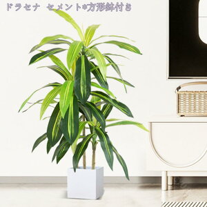 1000~OFFN[| lHϗtA tFCNA tFCNO[ ^  CeA lHϗtA ϗt A A ȒP sv Q쏜sv ϗtA CeA 100/150/160 