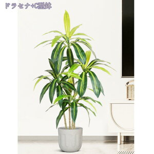 2000~OFFN[| tFCNO[ lHϗtA ϗt ȒP ItBX  CeA eX | lH ϗtA sv ͂Ȃ QȂ lHϗtA ϗt