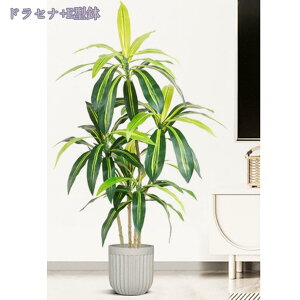 tFCNO[ lHϗtA ϗt ȒP ItBX  CeA eX | lH ϗtA sv ͂Ȃ QȂ lHϗtA ϗtA CeA 