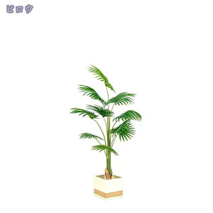 3500~OFFN[| lHϗtA ^tFCNA AȎ}Ɨt Ȓ  FN₩ { ꂢɂ₷ sJA sv A Mtg v[
