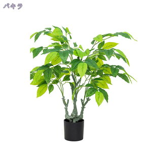 ^tFCNA tFCNO[ A { Ȃ` | CeA ItBX   rO X GgX lHϗtA ȒPb炸 ͎O