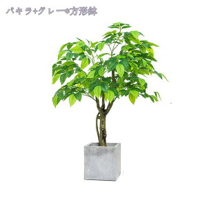 lHϗtA tFCNO[ Vv ItBX  CeA ^ Mт̖  A tFCNO[ Ex[^ lHϗtA ϗtA  Rȕ͋C sv