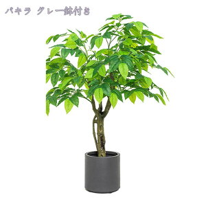 1000~OFFN[| lHϗtA tFCNO[ Vv ItBX  CeA ^ Mт̖  A tFCNO[ Ex[^ lHϗtA ϗtA  Rȕ