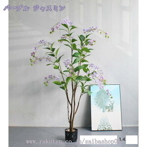 1000~OFFN[| tFCNO[ ^ VN ItBX  ^tFCNA 傫  ϗtA A  ͂Ȃ lHA v^[    Rȕ [