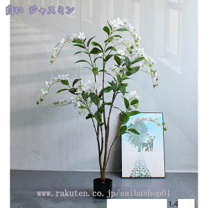 2000~OFFN[| tFCNO[ ^ VN ItBX  ^tFCNA 傫  ϗtA A  ͂Ȃ lHA v^[    Rȕ [