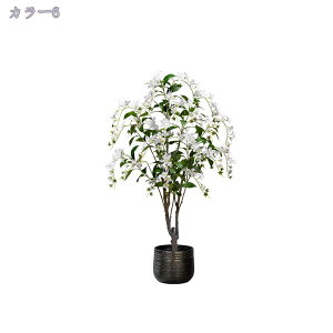 3500~OFFN[| tFCNO[ ^ lHϗtA tFCN A  ACr[ A lHt  CeA { ϗtA ϗt ͂Ȃ  뉀 iX K[