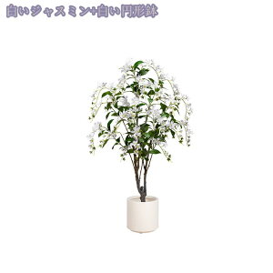 2000~OFFN[| tFCNO[ lHϗtA CeA  ϗtA Vv ItBX lHϗt rO ϗtA ɒuA    t p Aؔ 