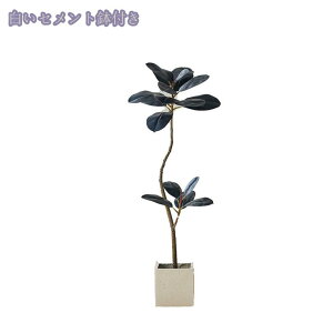 ^tFCNA lHϗtA tFCNO[ ^ CeA O p X܂̑ ItBX  ze rO X GgX  ȒPb炸 sv ͂