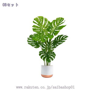 1000~OFFN[| tFCNO[ lHϗtA  NVbN | CeAG 킢 lHϗtA AeB[N [sA tFCNO[ CeA AȎ}Ɨt 